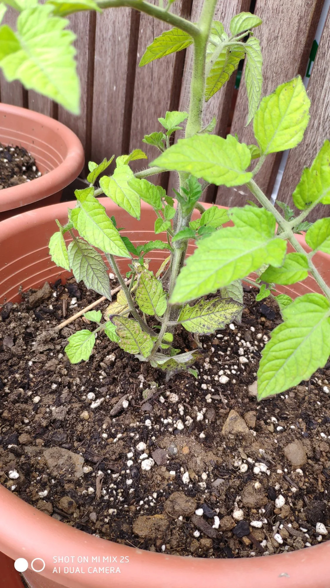 IMG_20190620_144418-1134x2016.webp