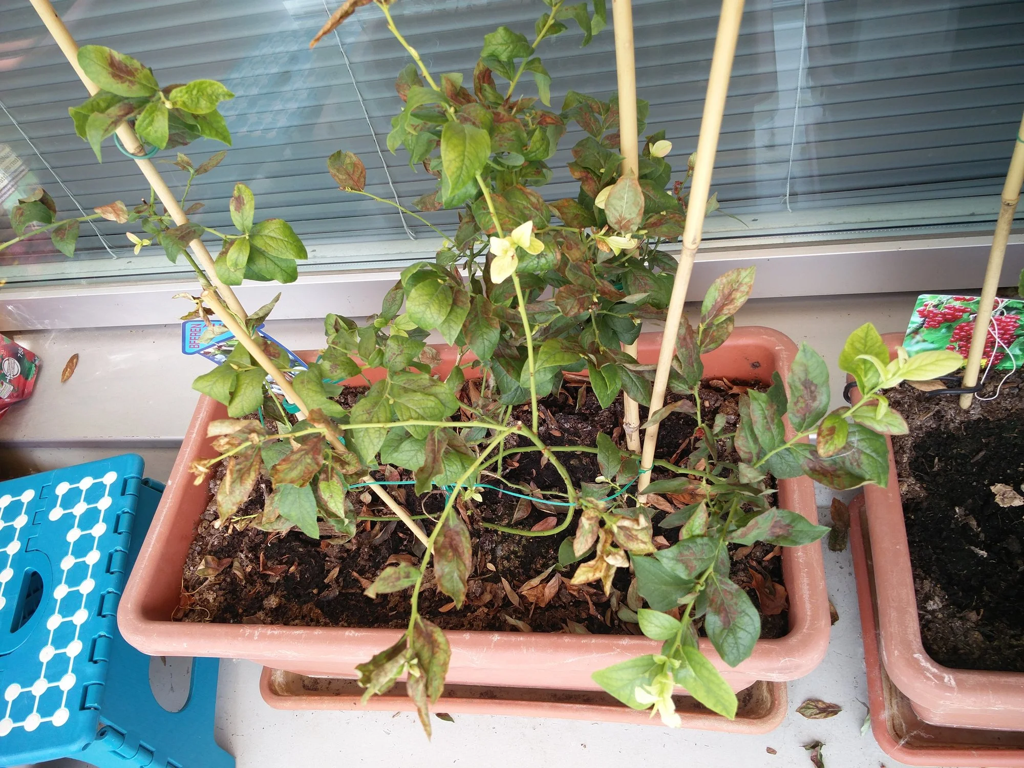 IMG_20190701_132738.webp
