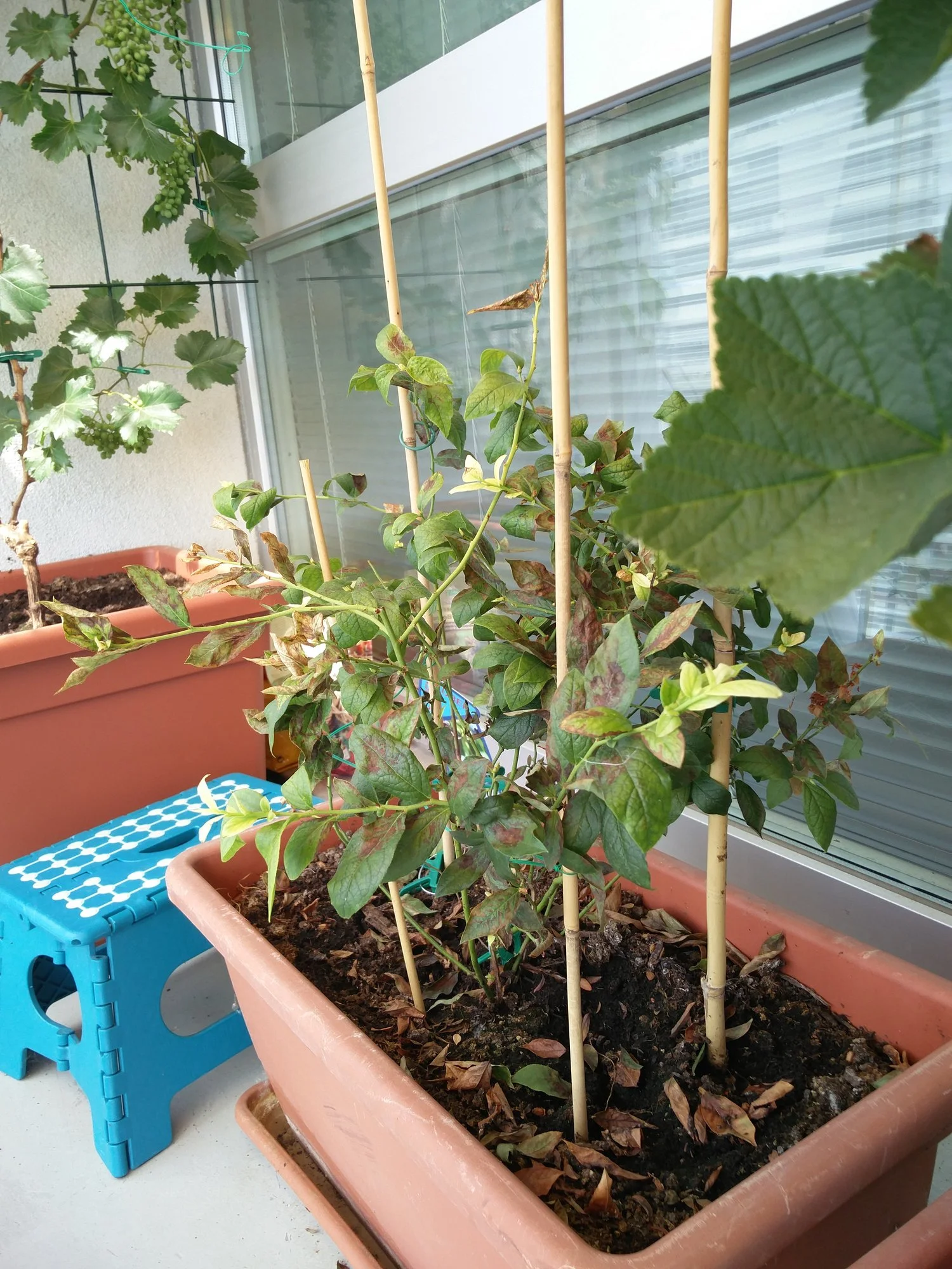 IMG_20190701_132743.webp