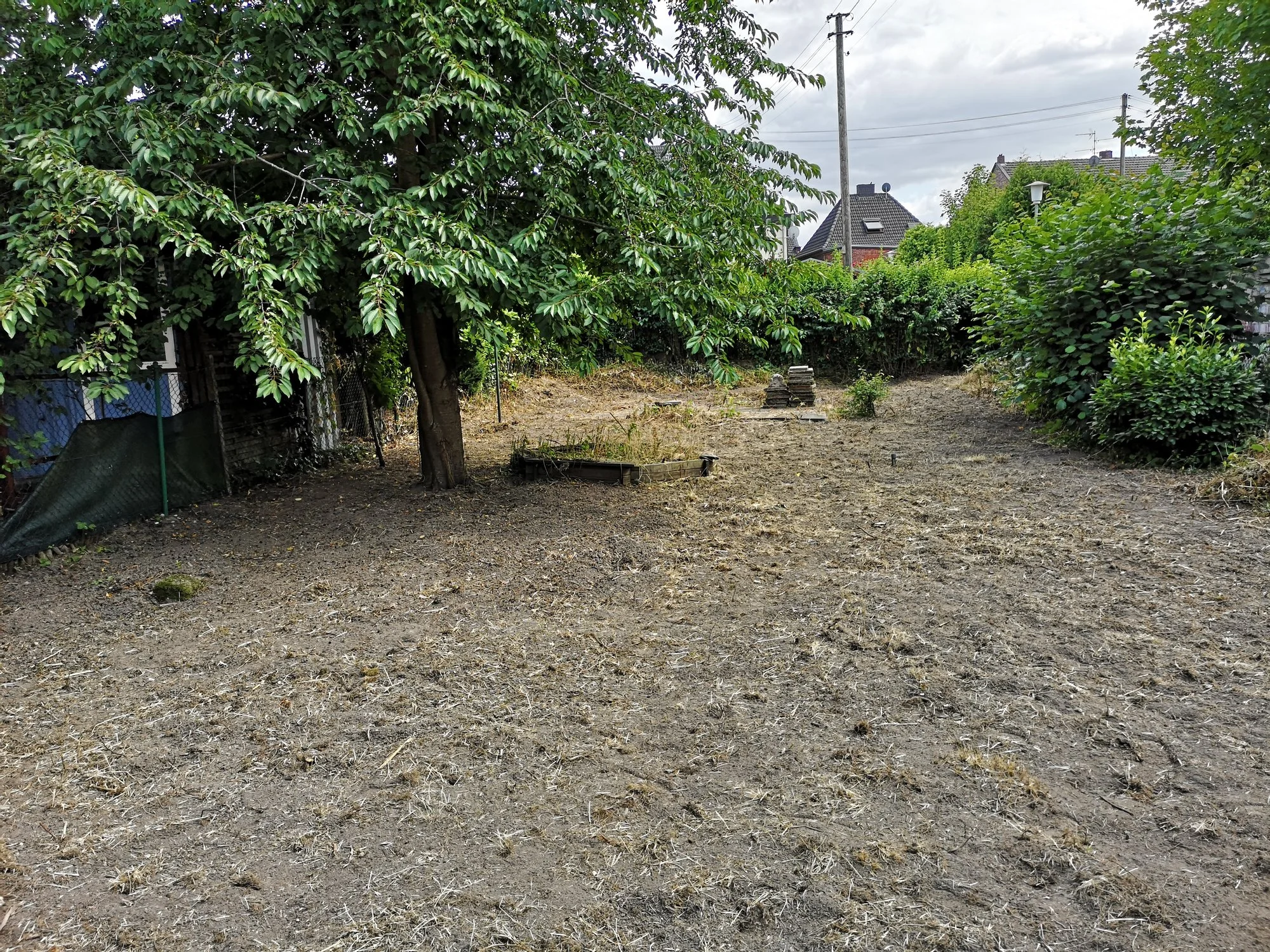 IMG_20190709_160338.webp