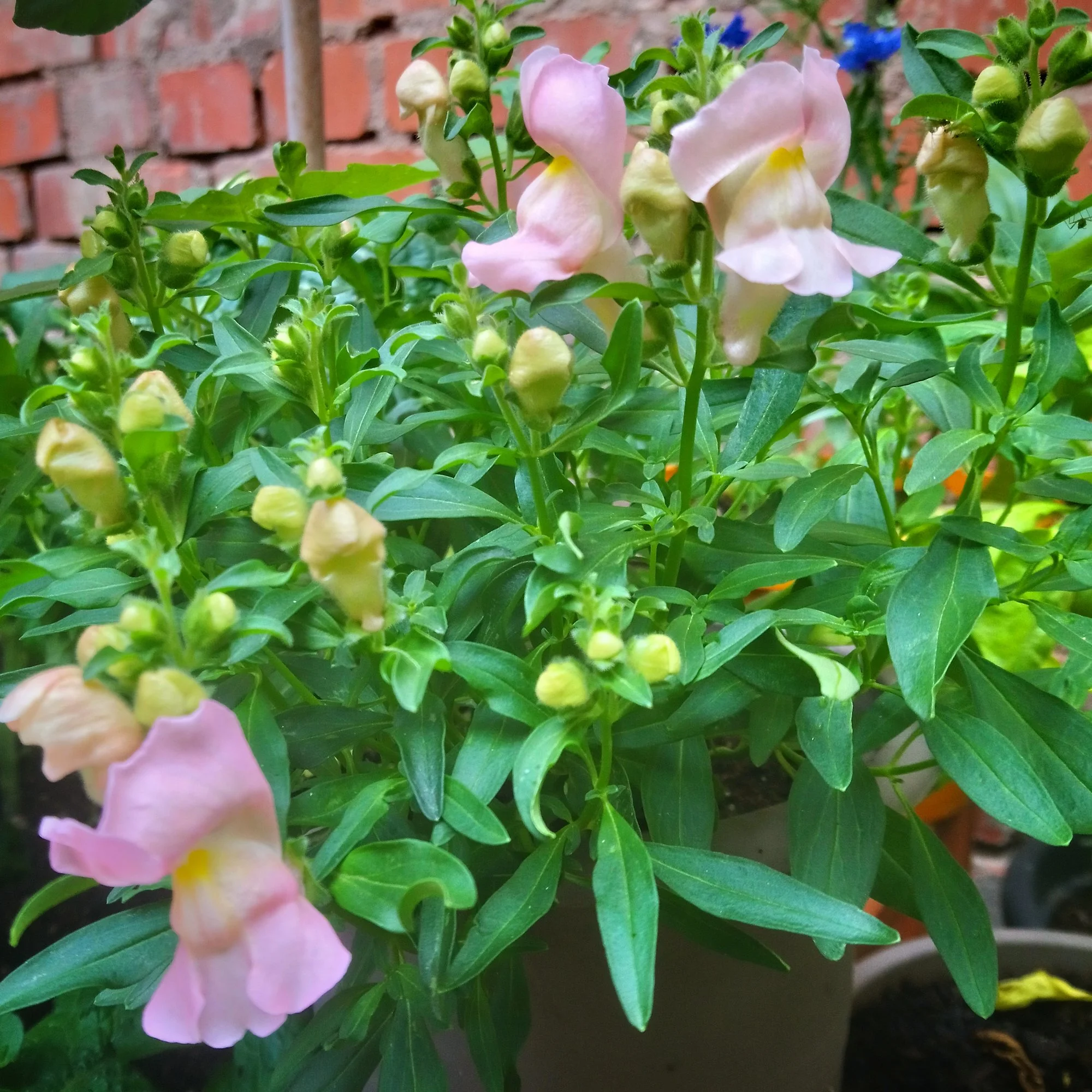 IMG_20190723_192018_678.webp