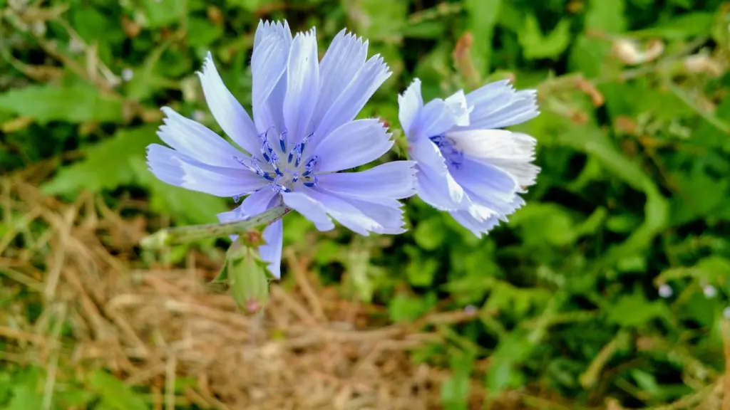 IMG_20190917_160125827.webp