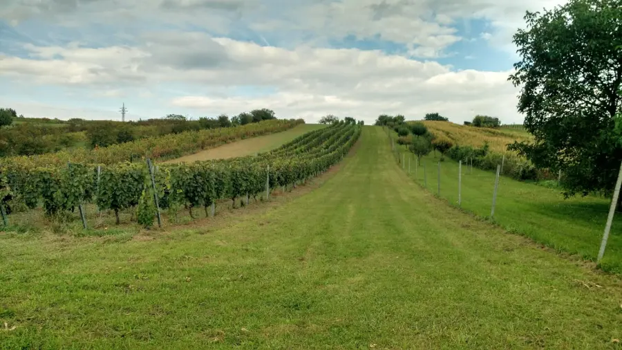 IMG_20190917_160331154_HDR.webp