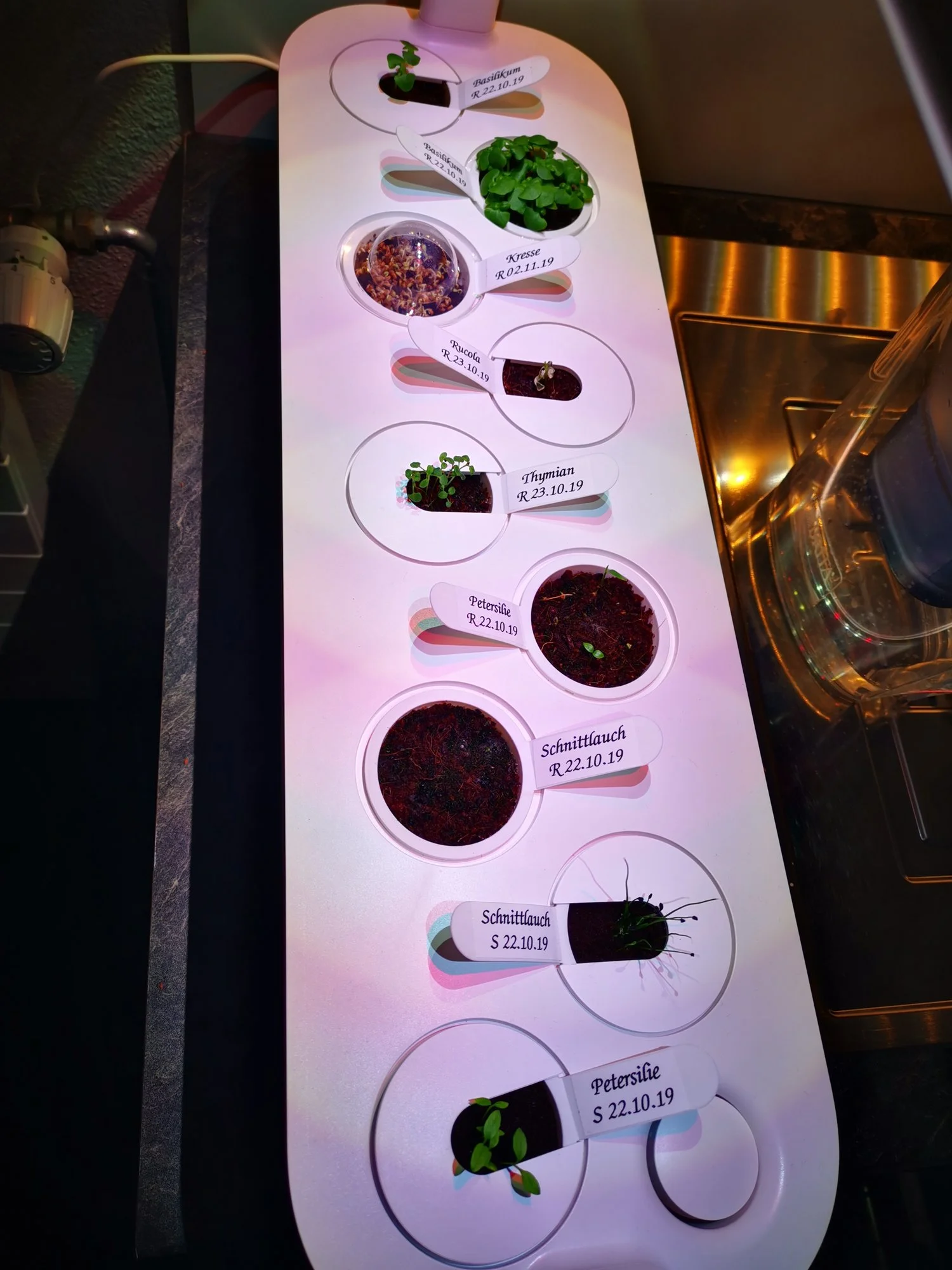 IMG_20191104_122613_1.webp IMG_20191104_122613_1.webp