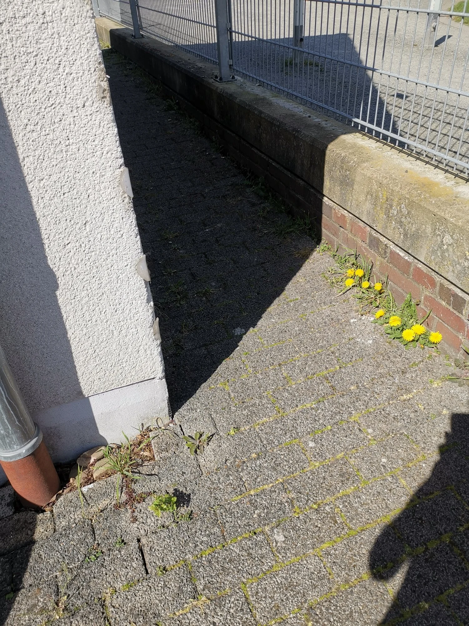 644459