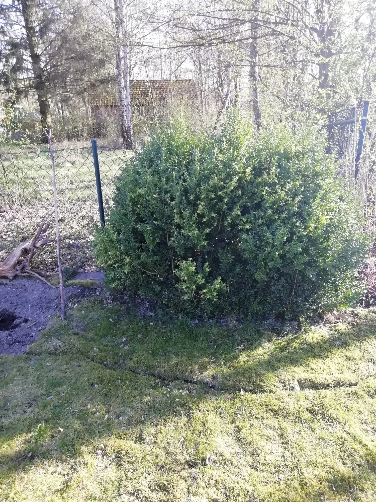 642779