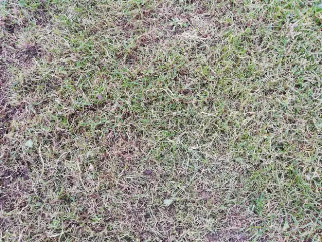 658339