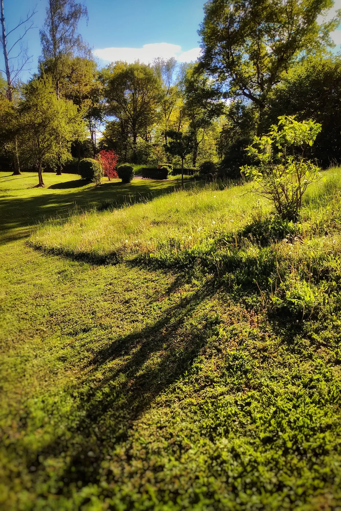 IMG_20210523_1723449-01.webp