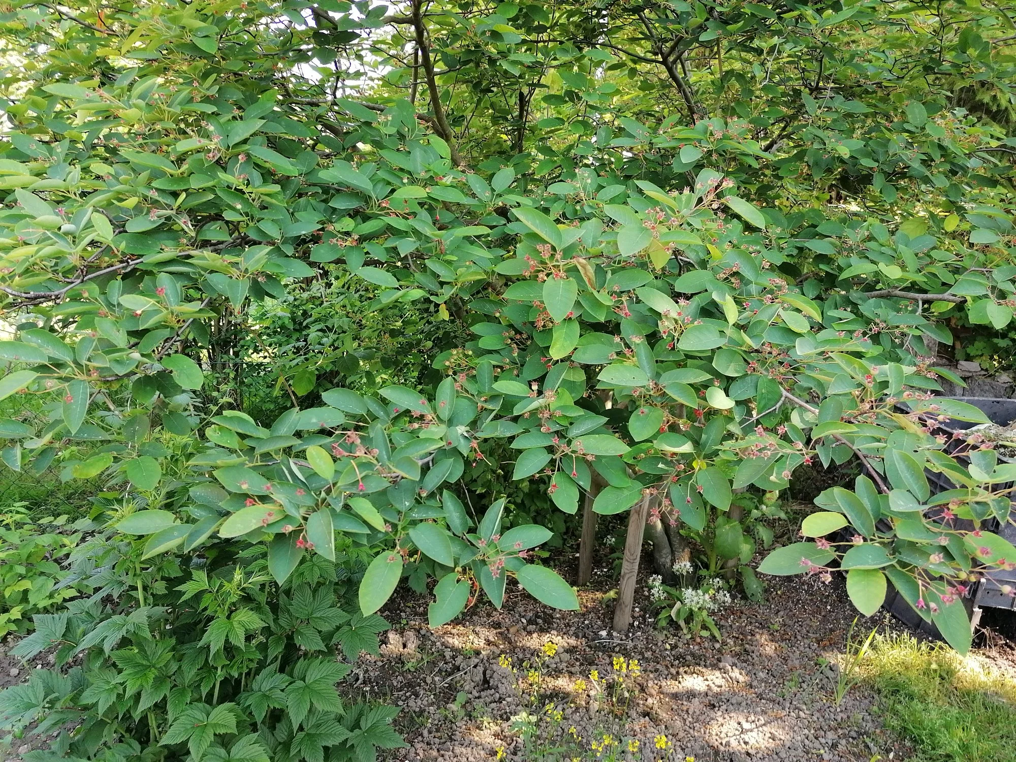 IMG_20210606_102843.webp