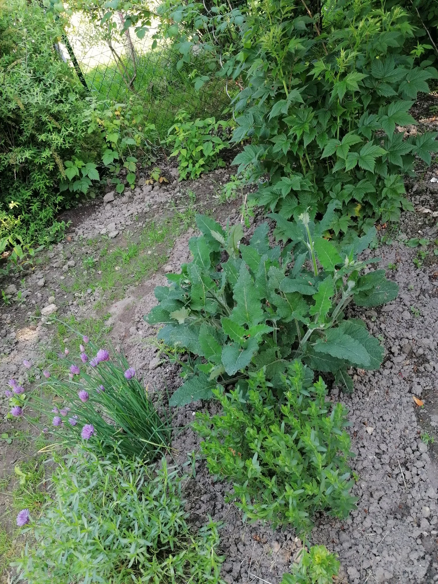 IMG_20210606_102853.webp