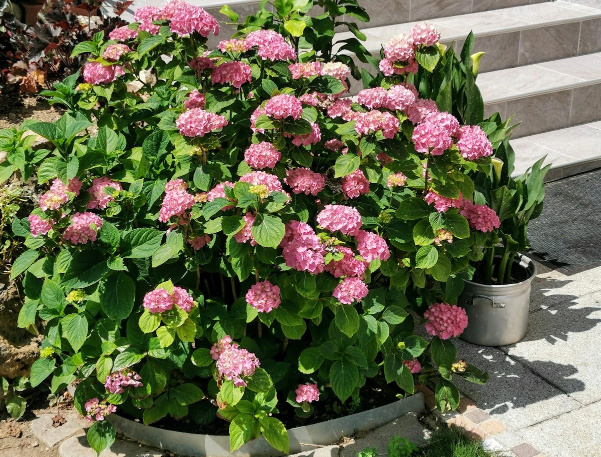 IMG_20210630_115615.webp