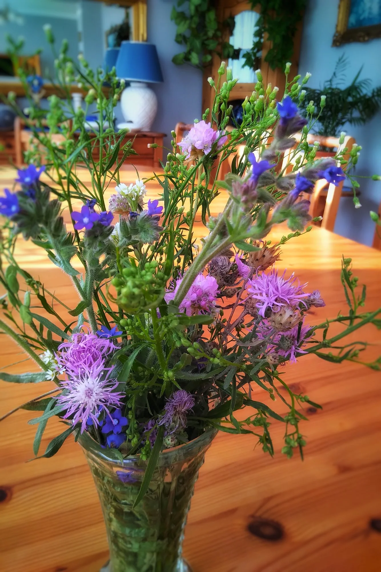 IMG_20210801_1754595-01.webp