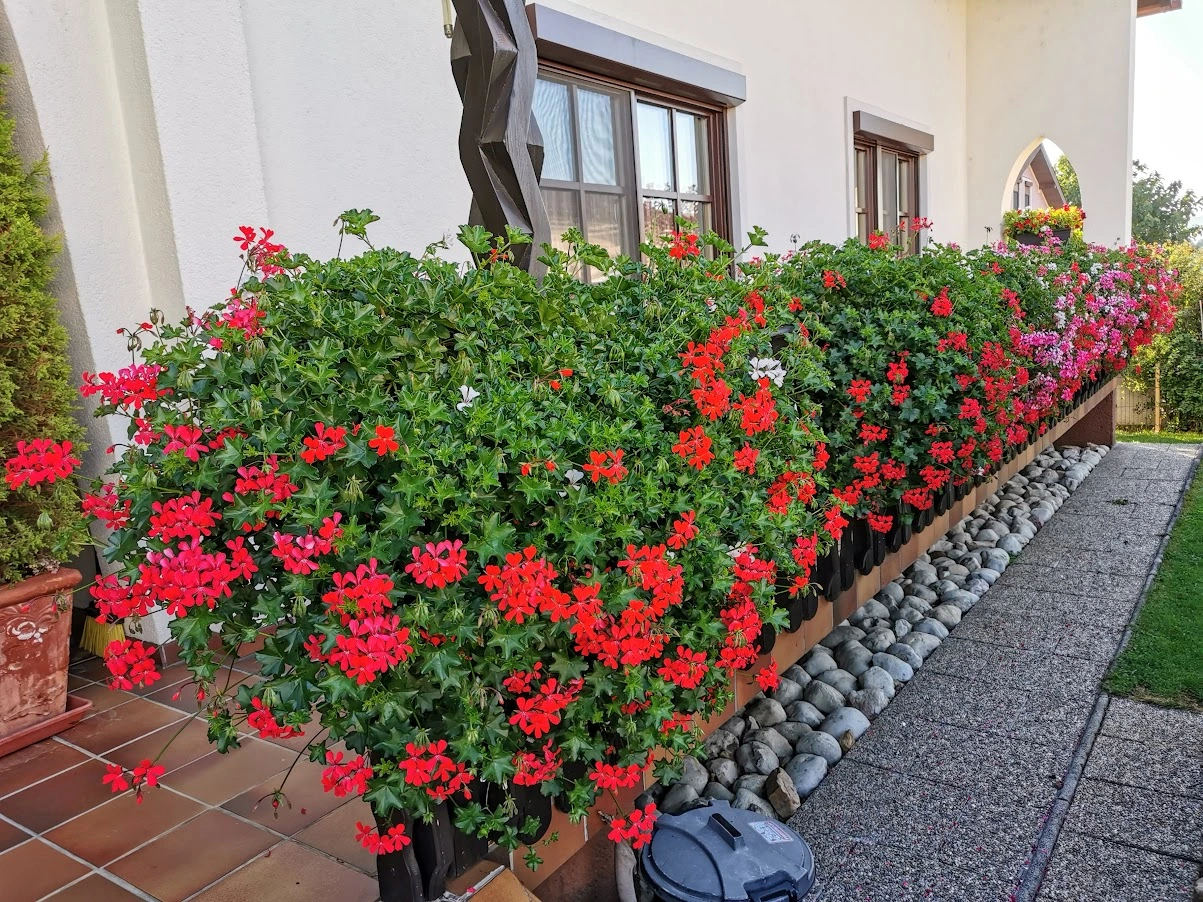 IMG_20210911_081640 (1).webp