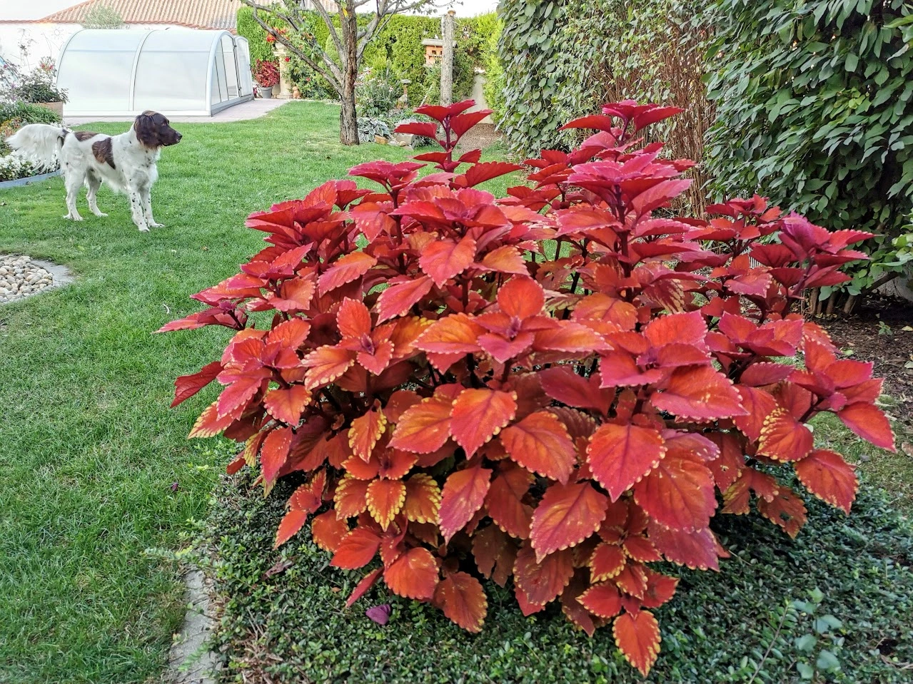 IMG_20210911_181822.webp