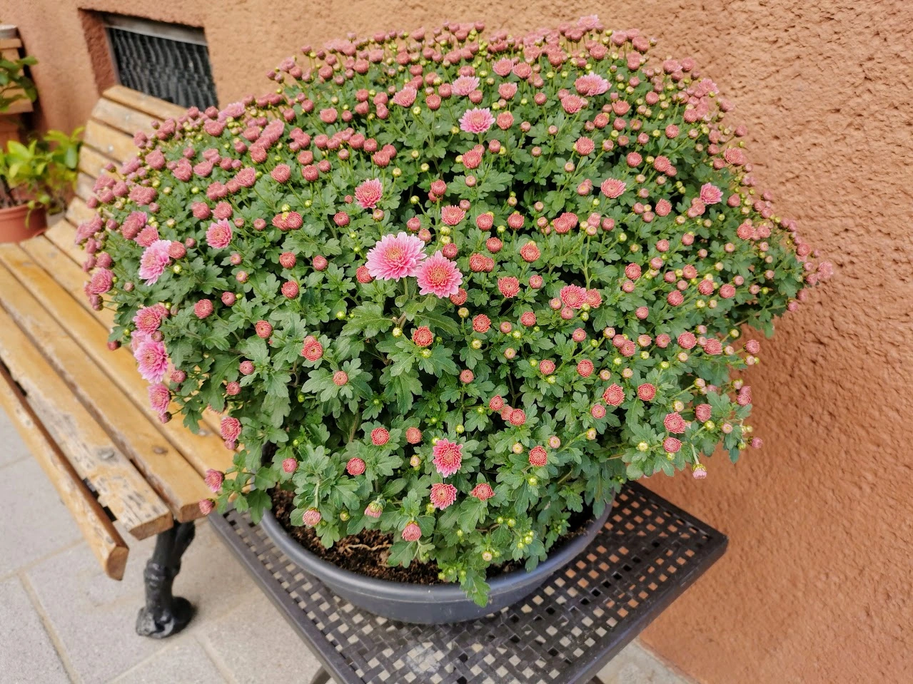 IMG_20211011_104508.webp