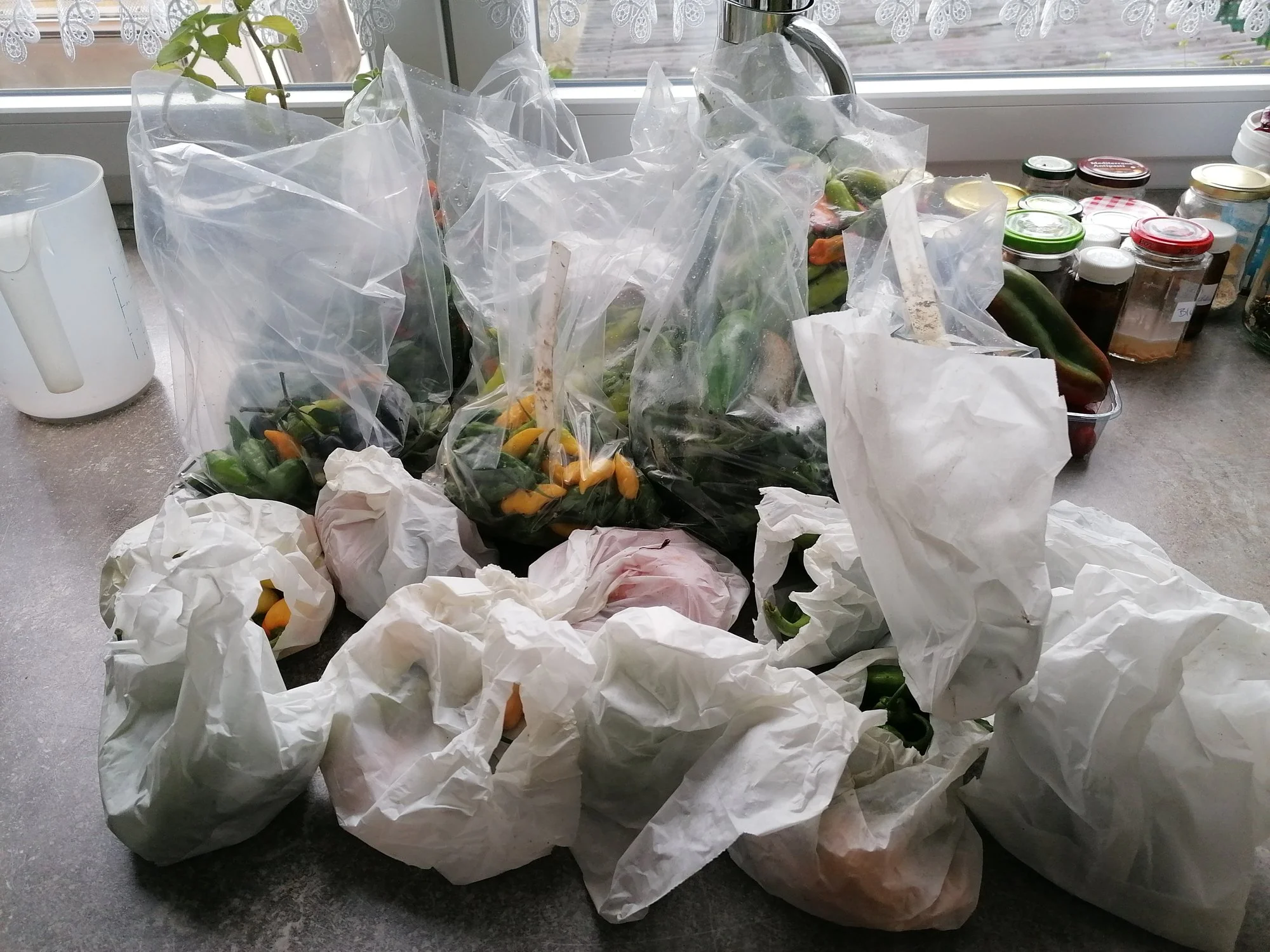 IMG_20211012_090220.webp