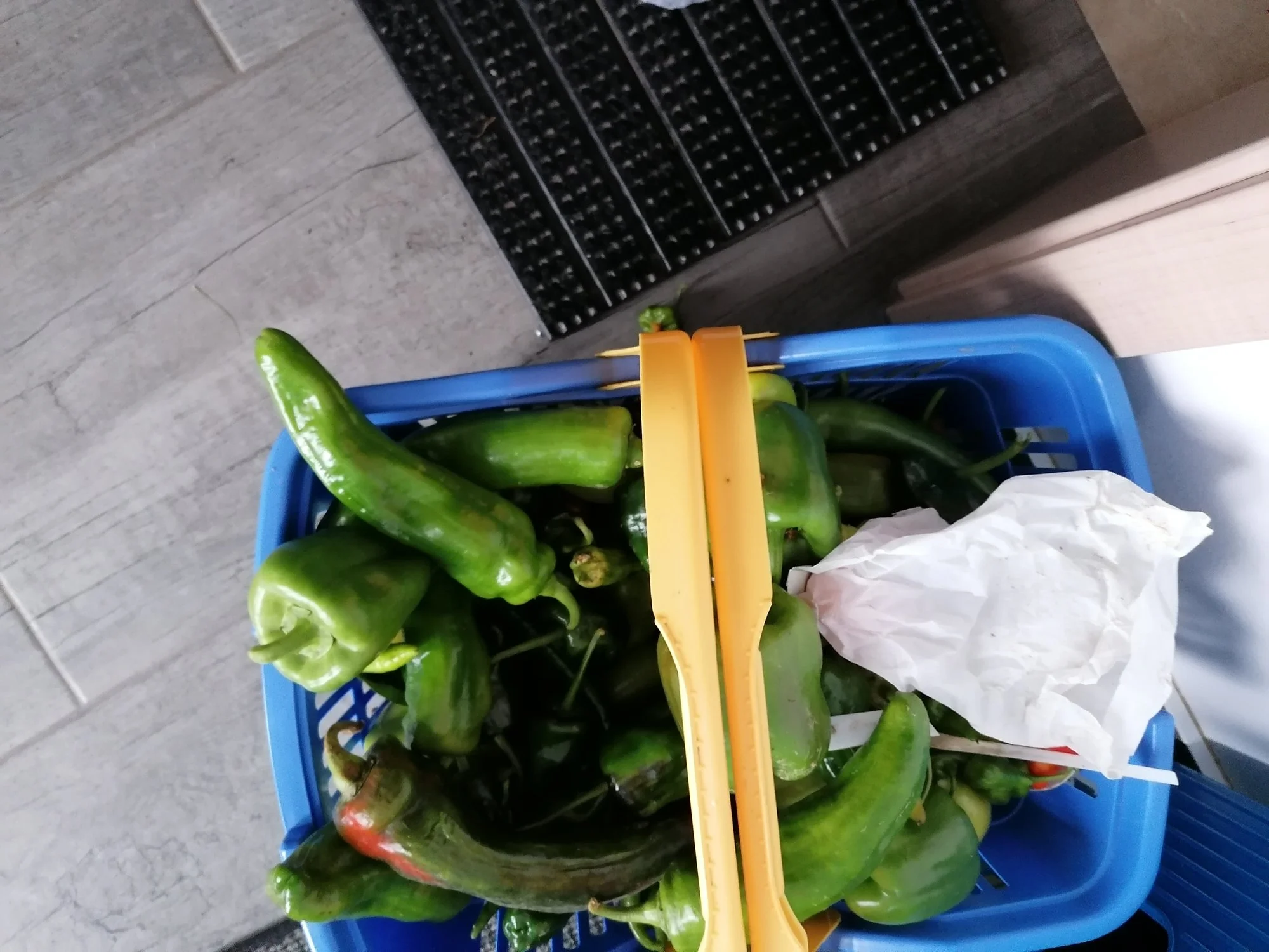 IMG_20211012_090249.webp