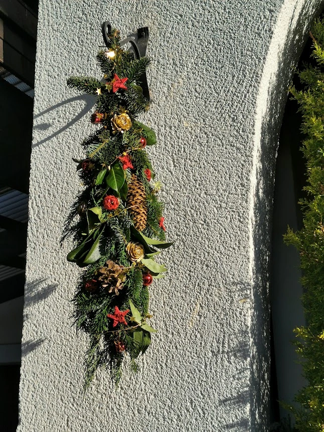 IMG_20211124_102842.webp