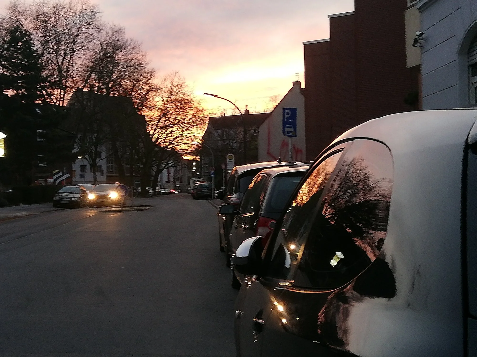 IMG_20220101_164136.jpg