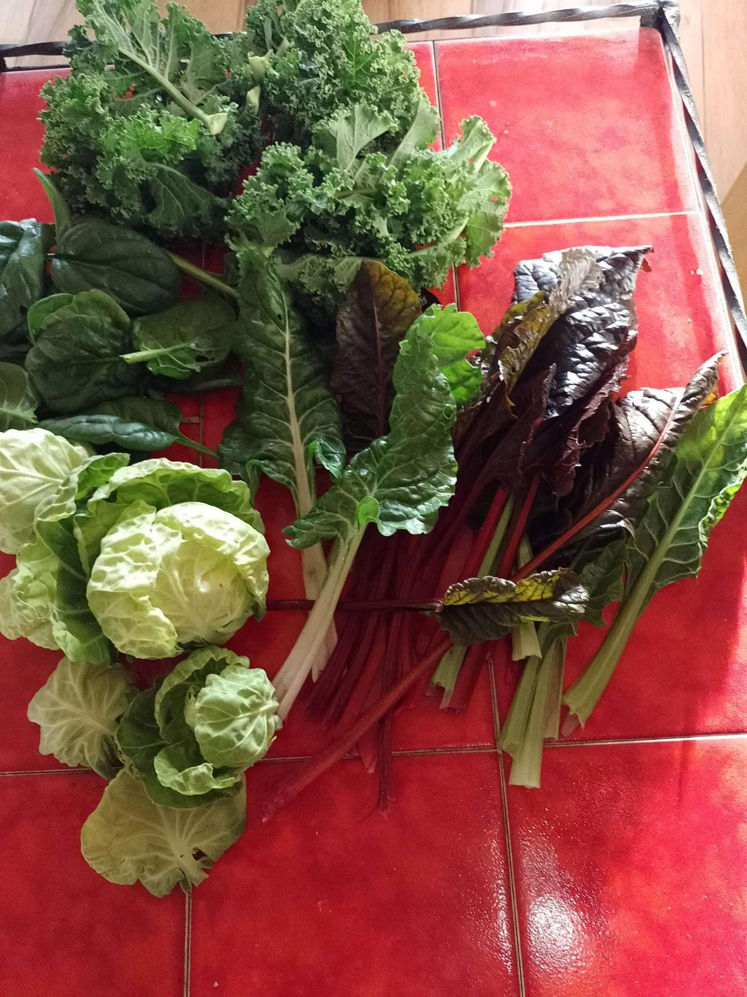 IMG_20220112_151421.webp
