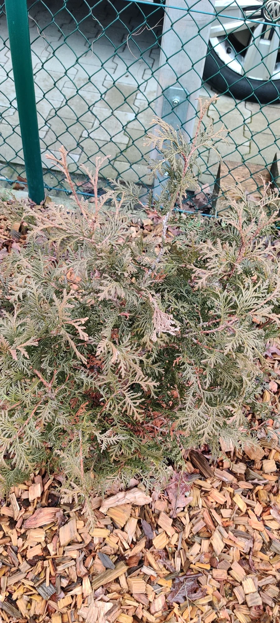 IMG_20220120_120455.webp