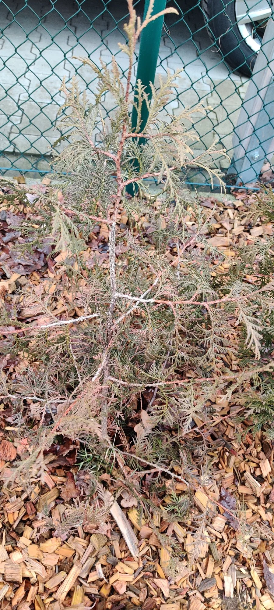 IMG_20220120_120500.webp