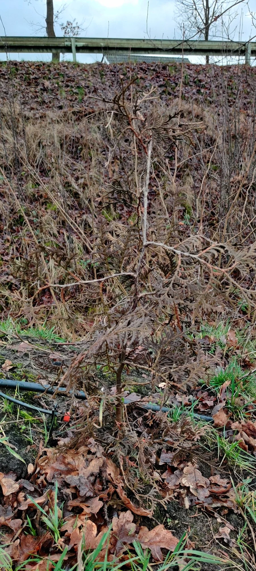 IMG_20220120_120549.webp