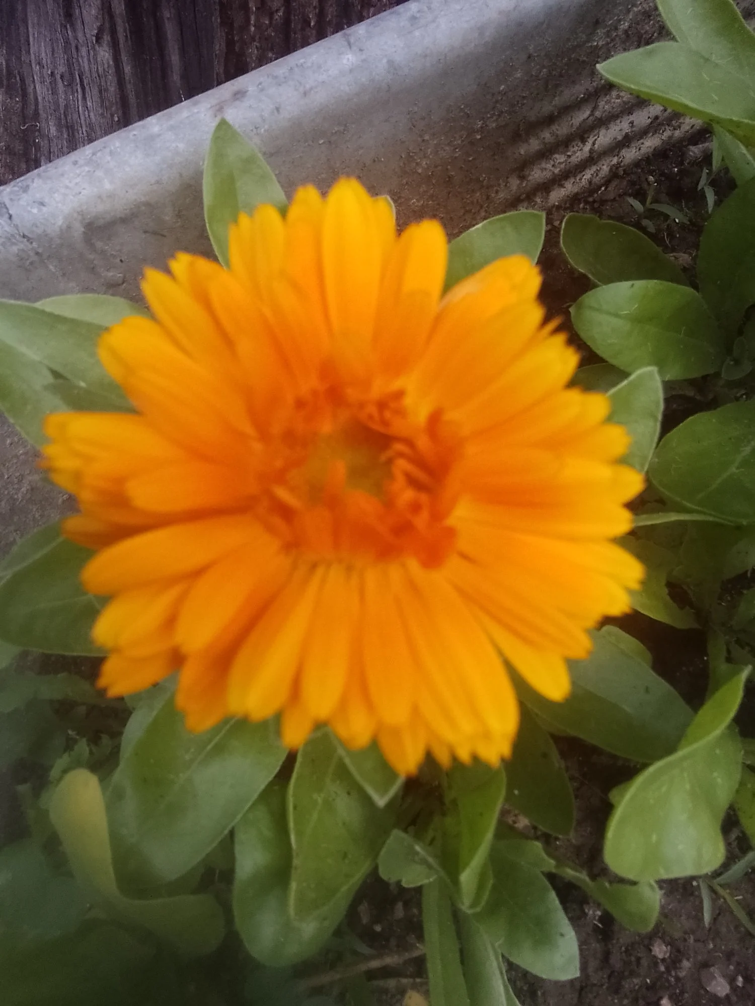 IMG_20220607_124714.webp