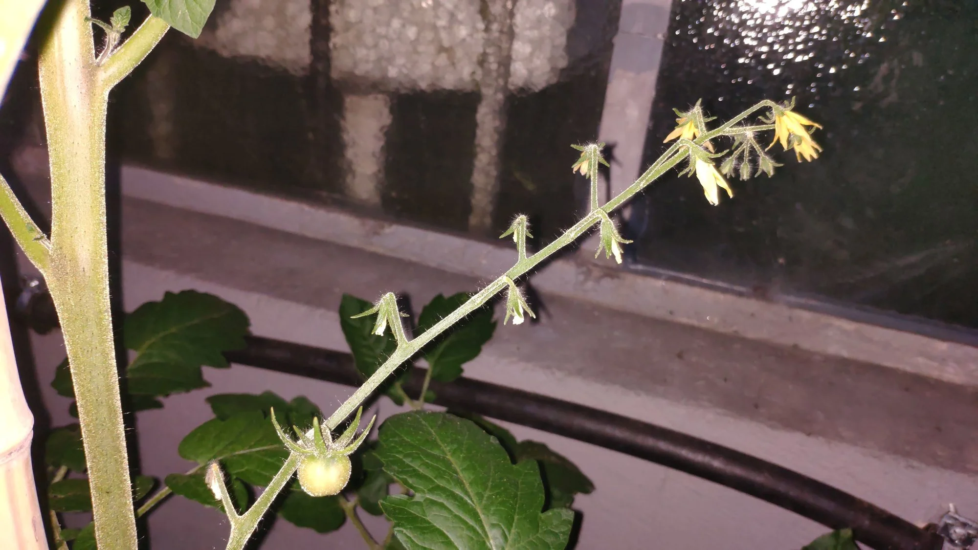 IMG_20220615_214025.webp