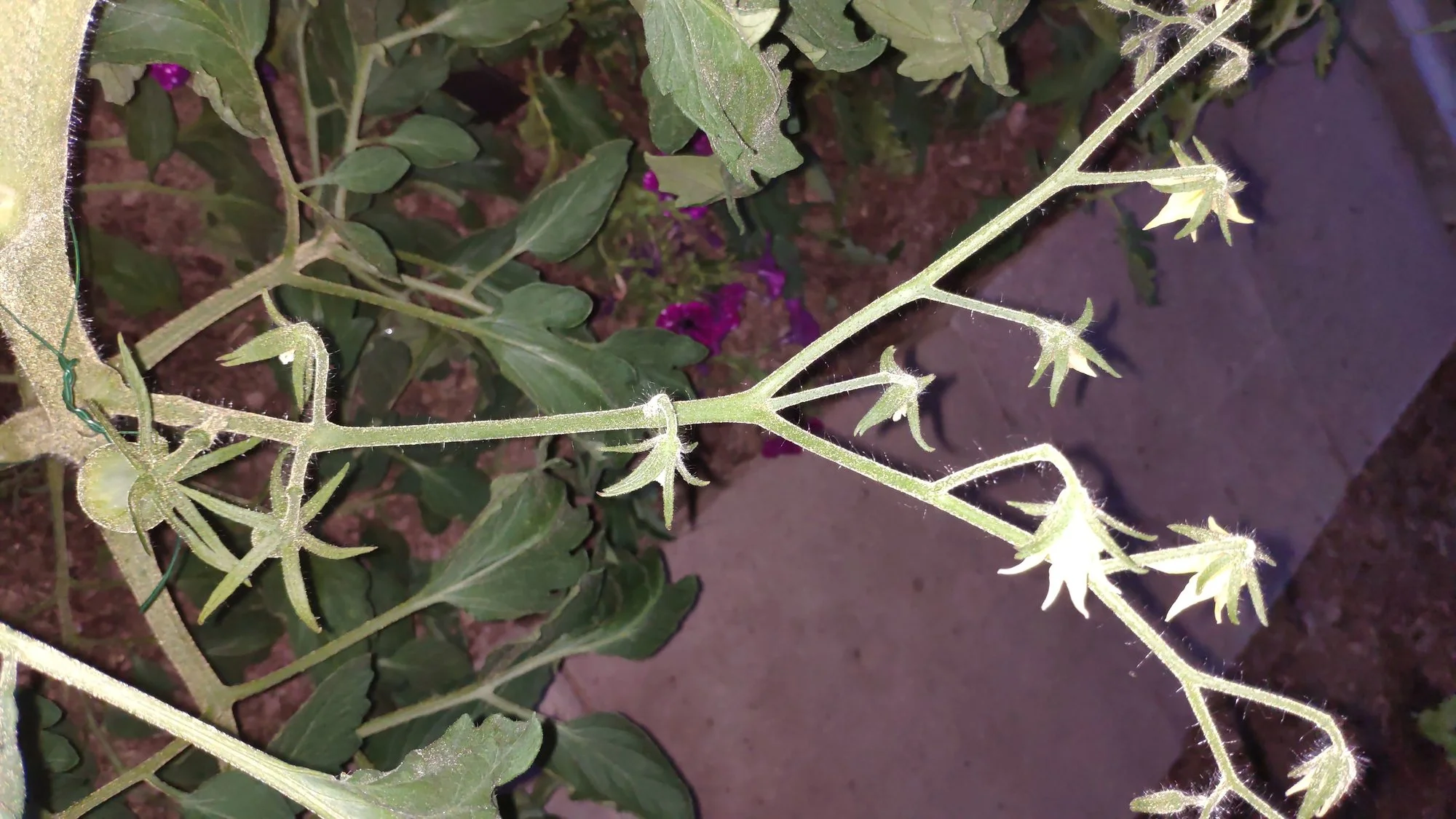 IMG_20220615_214137.webp