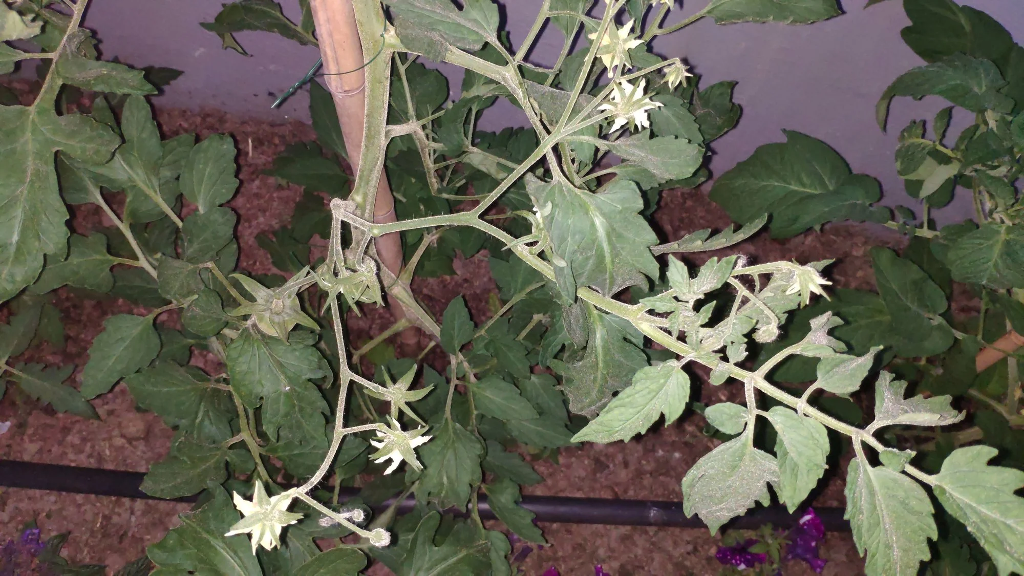 IMG_20220615_214153.webp