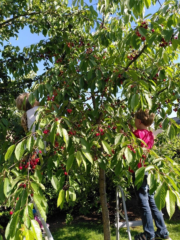IMG_20220616_175149.webp