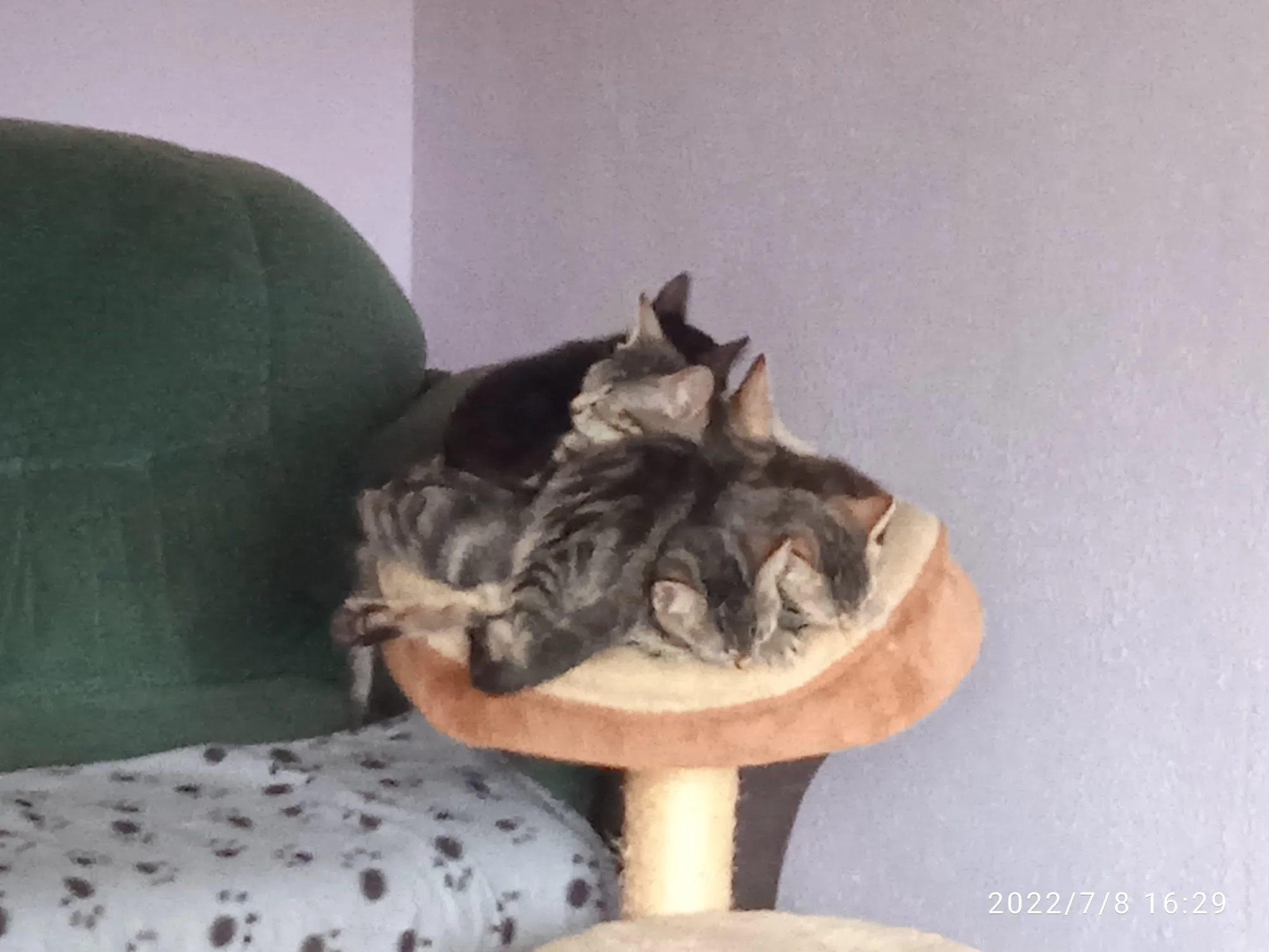 IMG_20220708_162948.webp