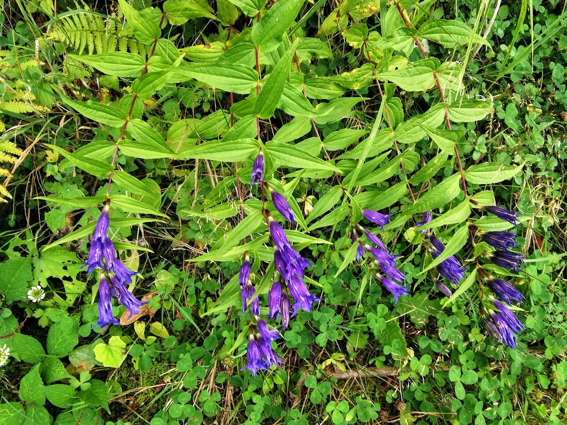 IMG_20220902_163012.webp