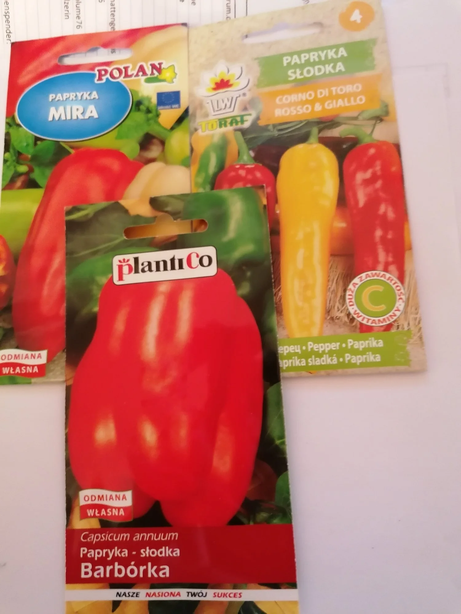 forum.hausgarten.net