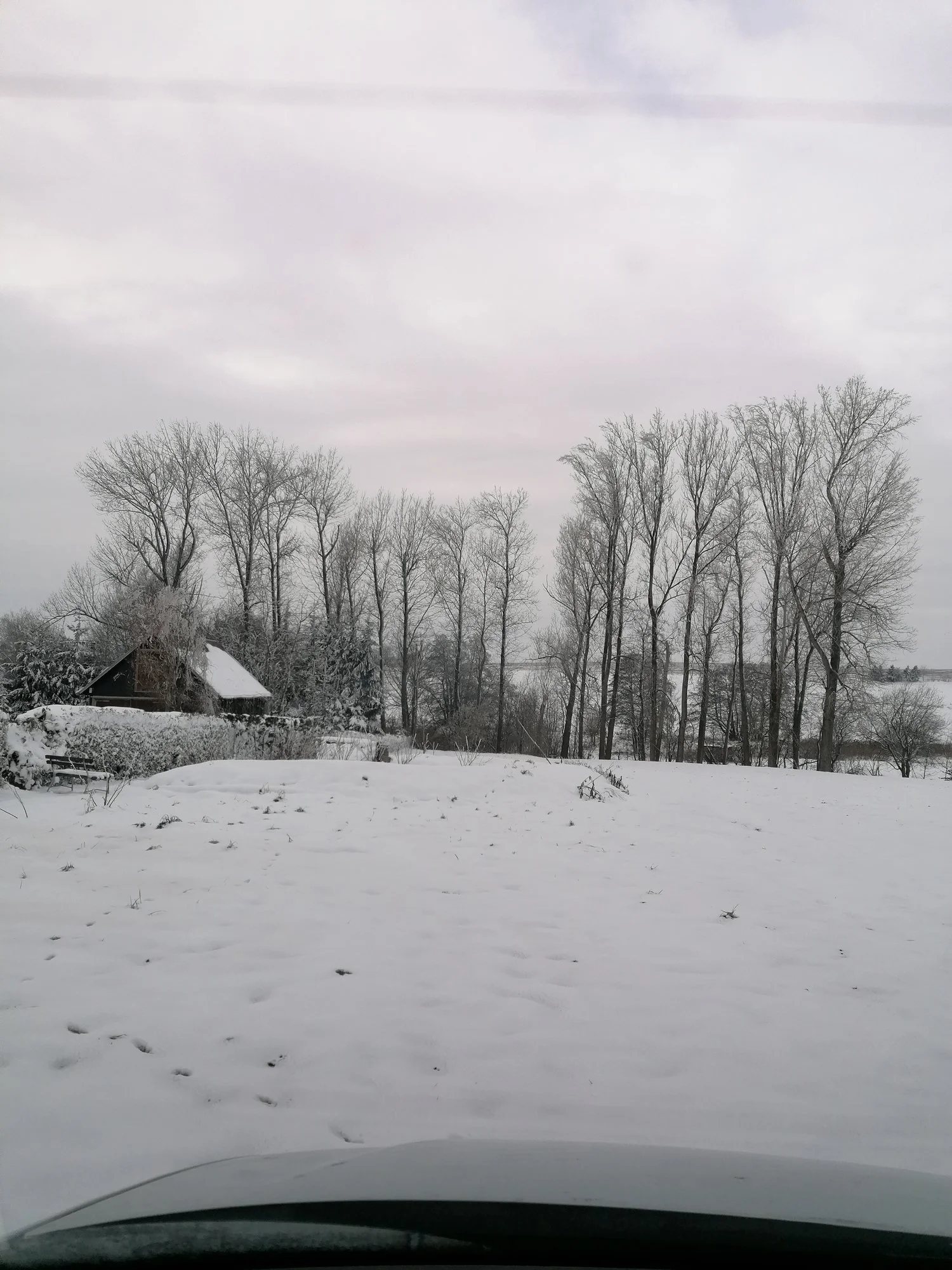 IMG_20230129_143247.webp