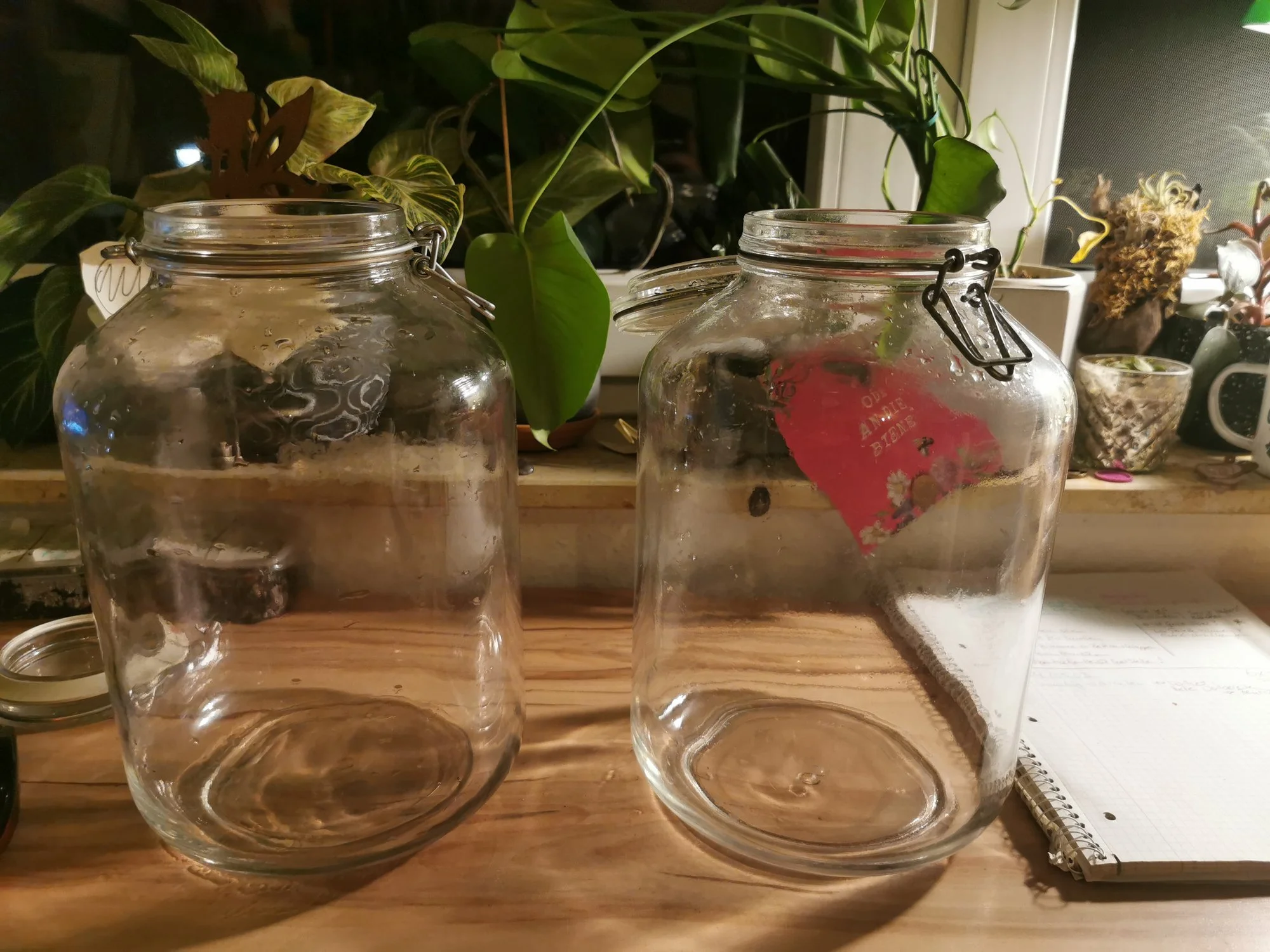 forum.hausgarten.net