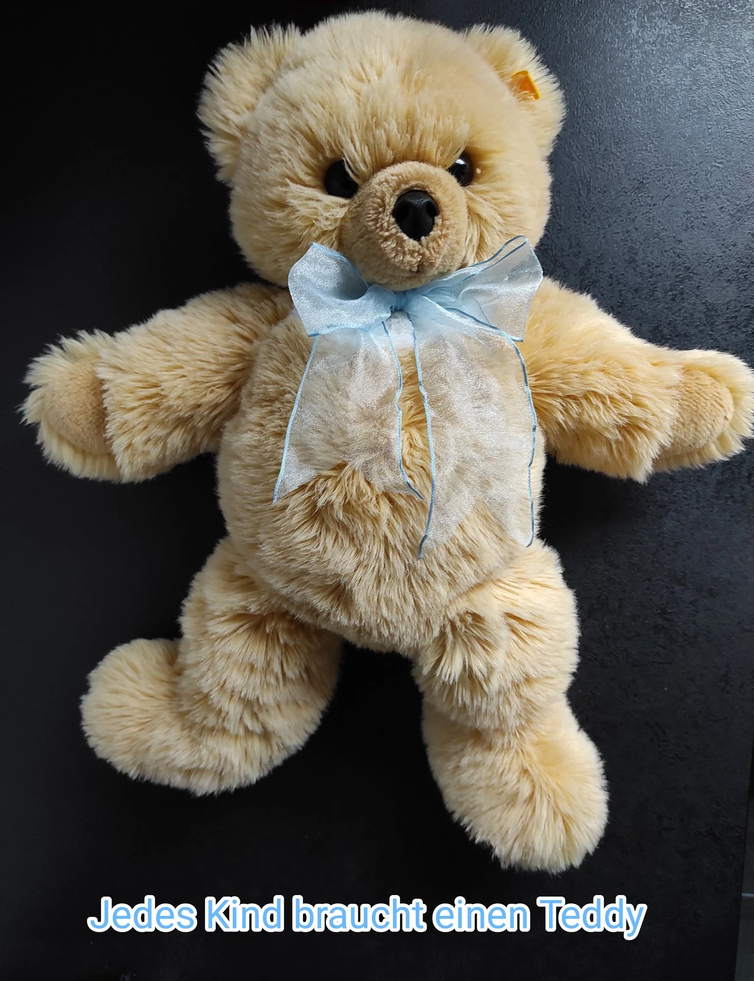 IMG_20230331_143906.webp