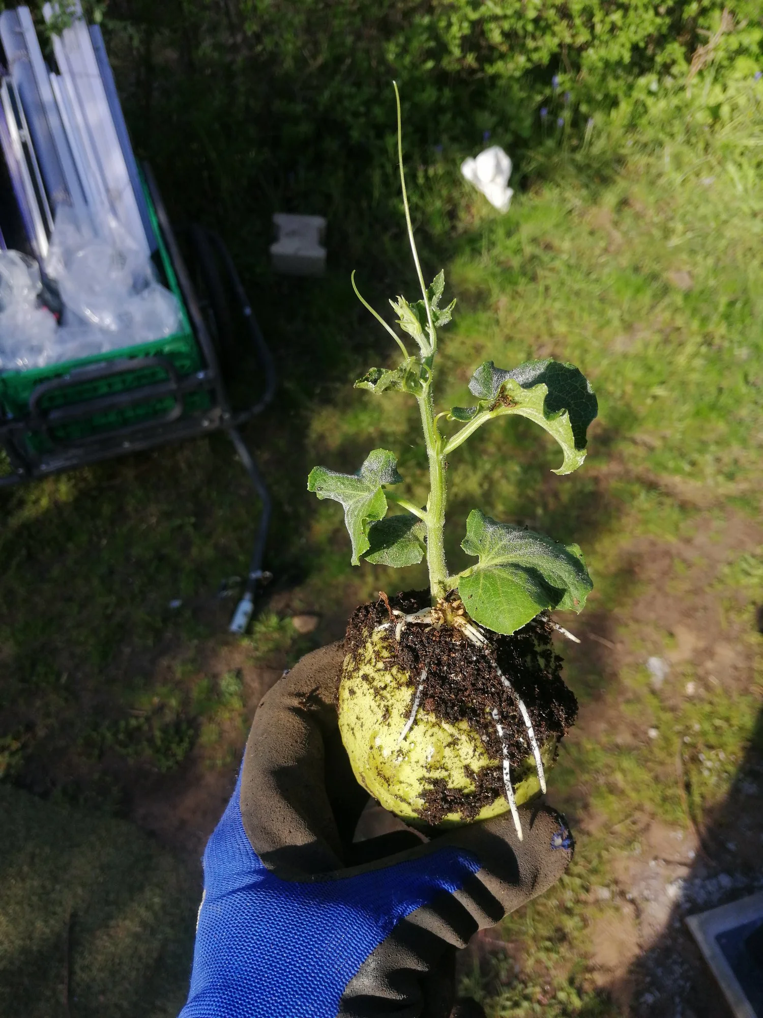 IMG_20230508_175920.webp