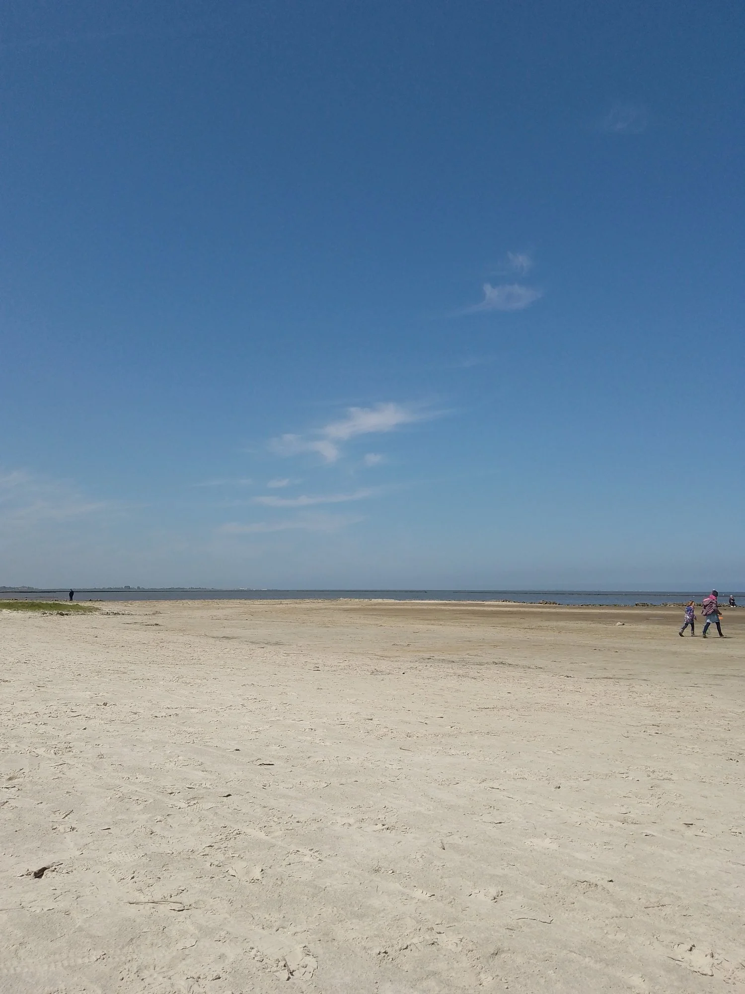 IMG_20230519_122534_354.webp