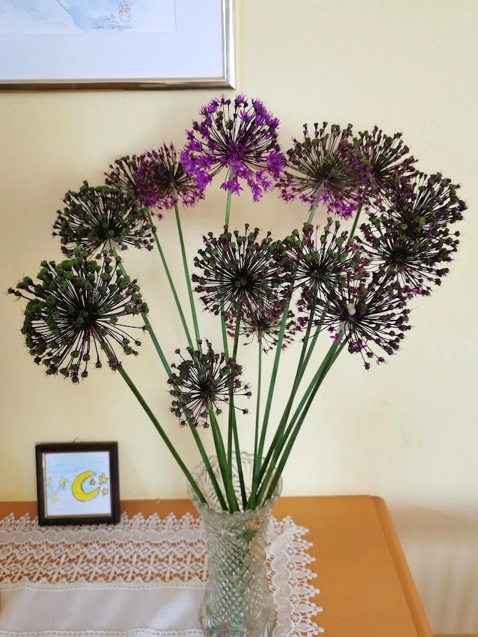 IMG_20230525_173607.webp