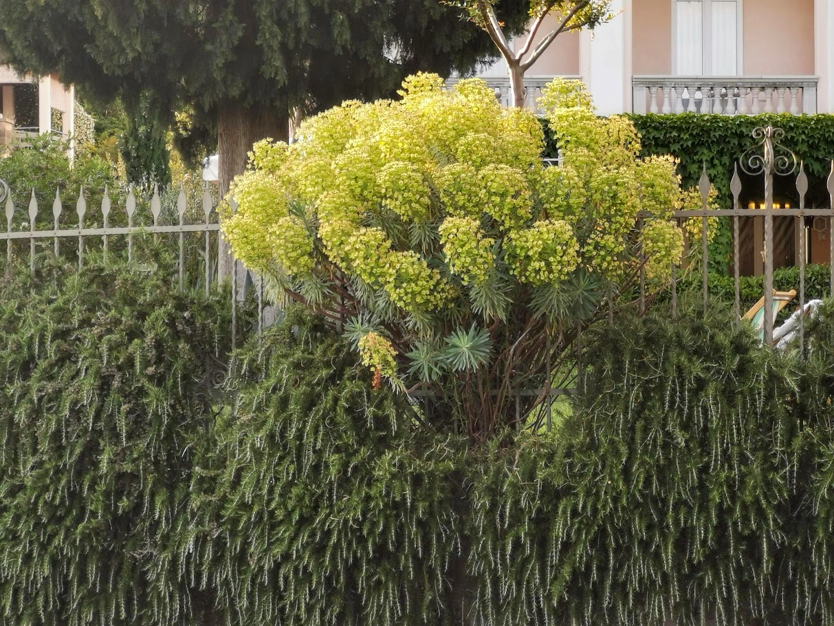 IMG_20230601_192800.webp