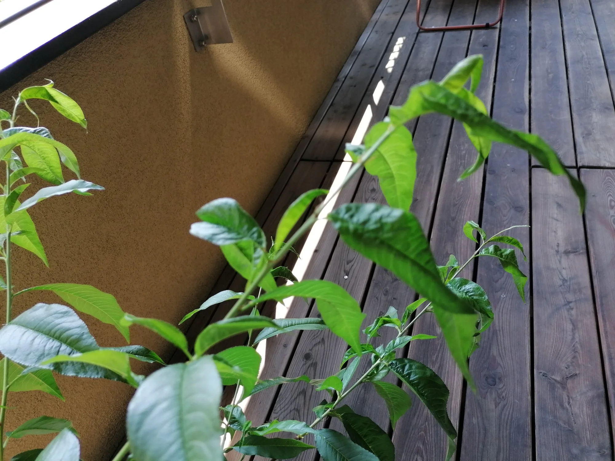 IMG_20230603_151651.webp