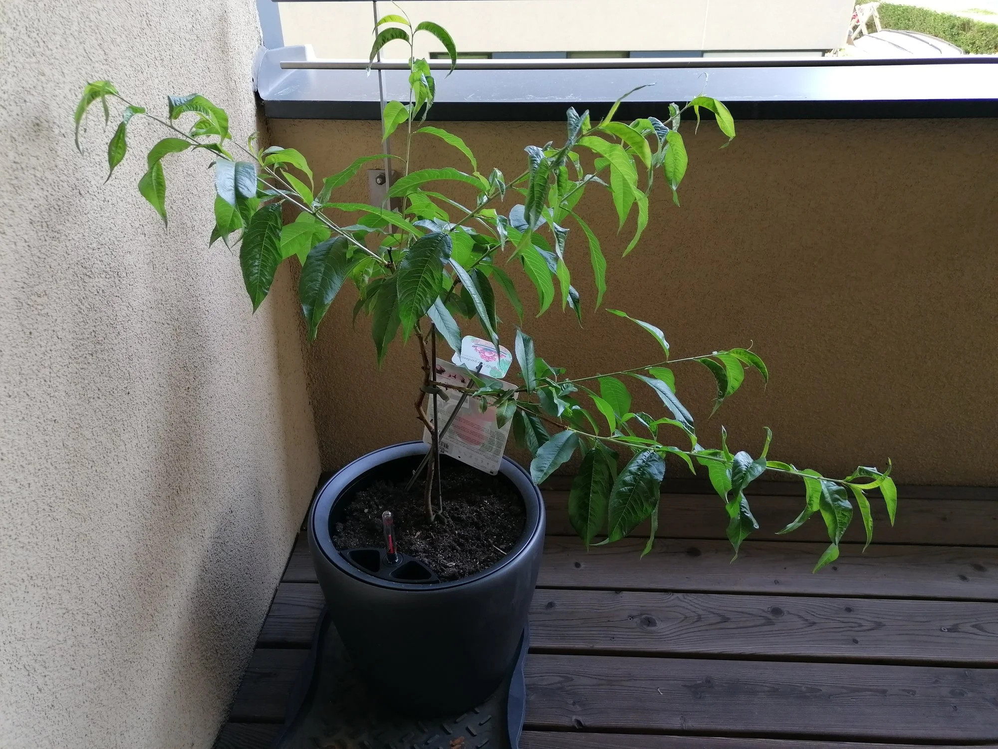 IMG_20230603_162803.webp