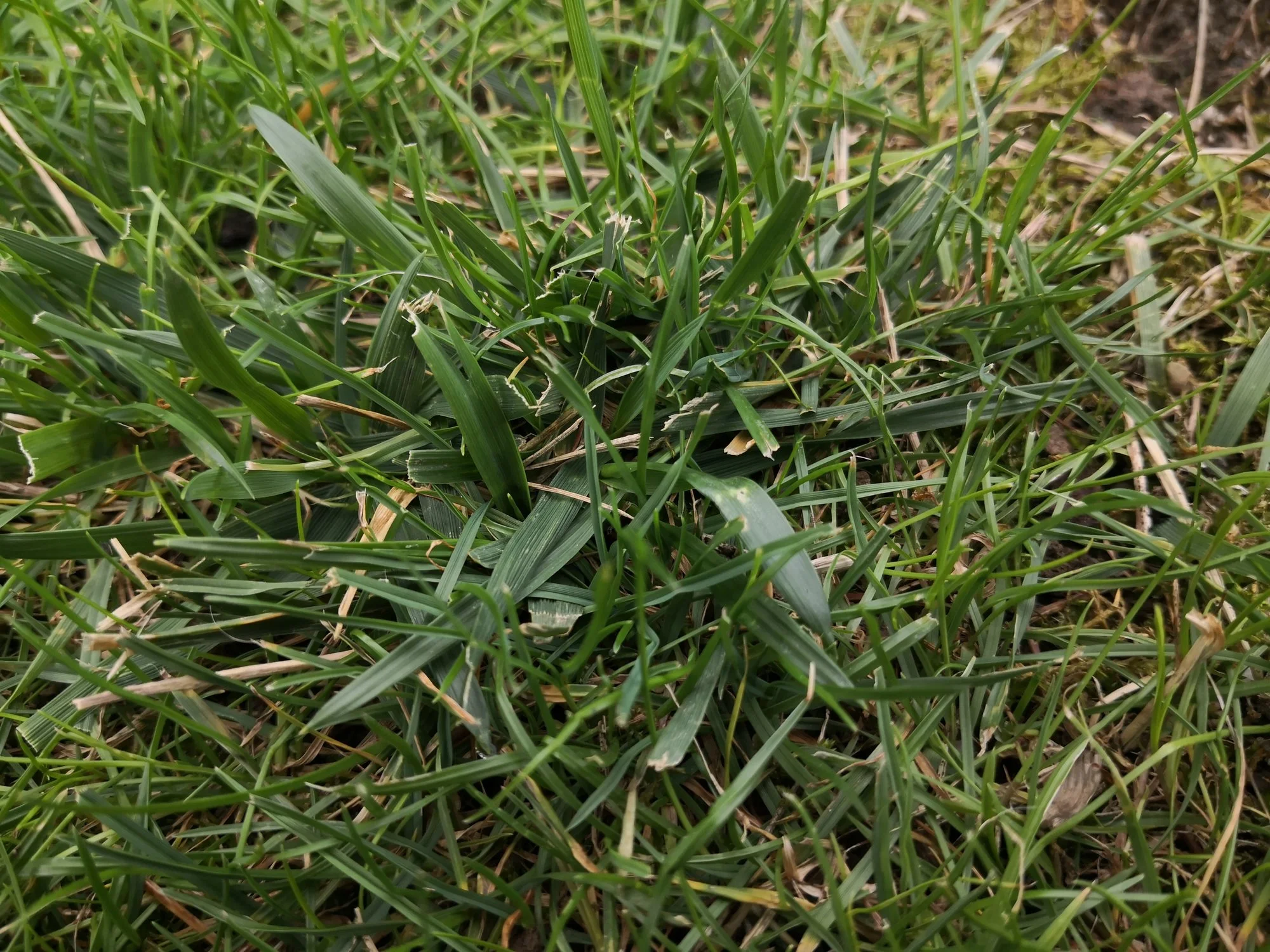 IMG_20230815_121906.webp