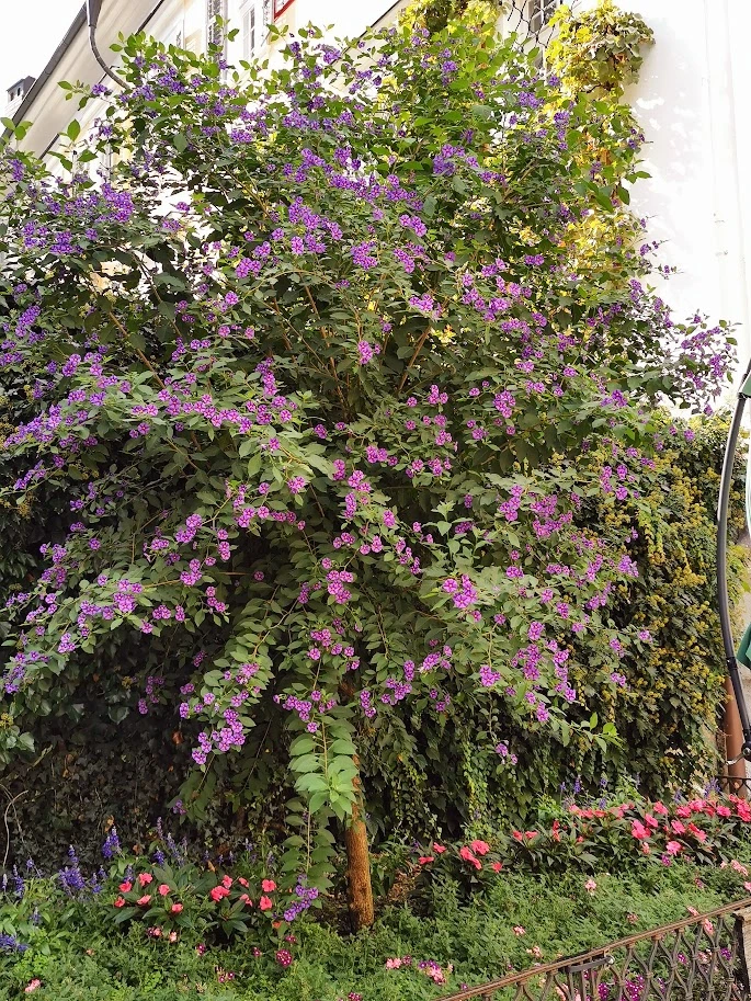 IMG_20230914_150630.webp
