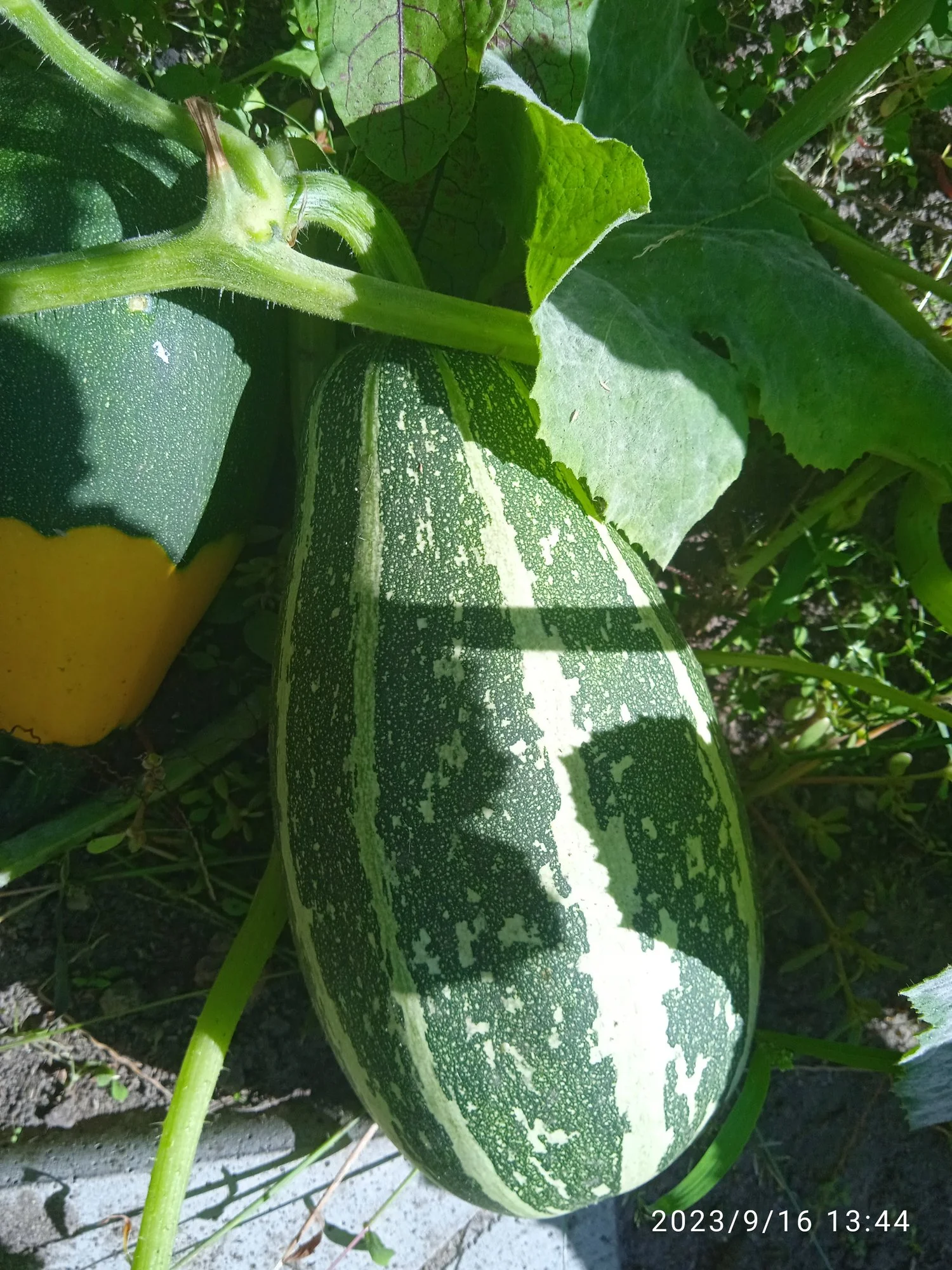 IMG_20230916_134432.webp
