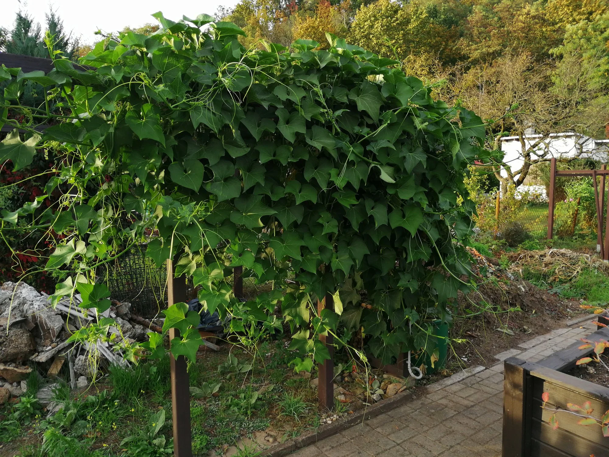IMG_20231011_170822.webp