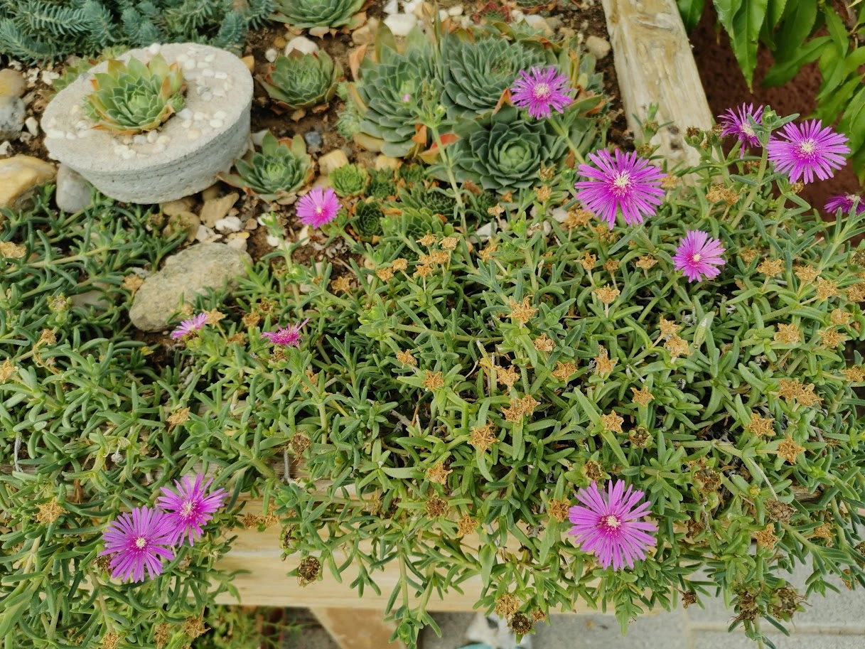 IMG_20231014_154221.webp