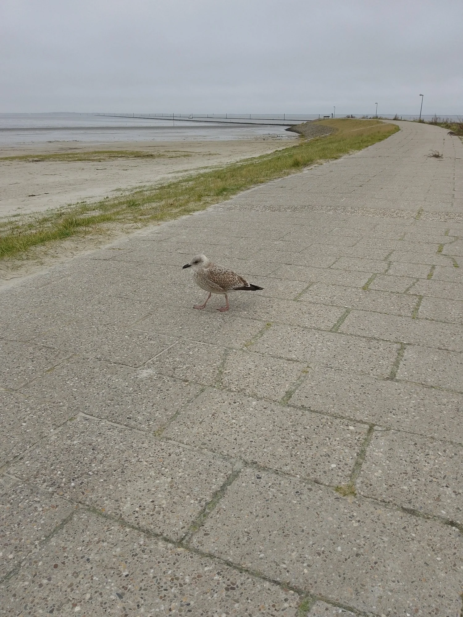 IMG_20231027_140524_583.webp